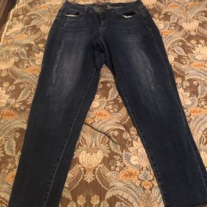 Lane Bryant Jeans